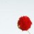 :iconkalipper: