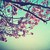 :iconkalipso0602: