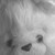 :iconkallis96: