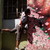 :iconkallops: