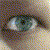 :iconkaloskalyre: