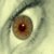 :iconkalyflor: