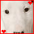:iconkam94: