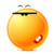 :iconkameshikika: