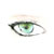 :iconkami-katami: