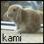 :iconkami-no-kimi: