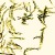 :iconkami-yoshiko: