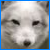 :iconkamiix: