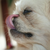 :iconkamilla-x: