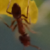 :iconkamorx: