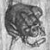 Kampfhamsternine :iconkampfhamsternine: