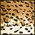 :iconkamuiofthewolves: