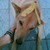 :iconkan-zeon: