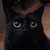 :iconkanaan: