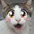 :iconkancchi: