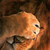 :iconkane8888888888: