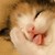 :iconkaneczx:
