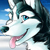 :iconkanehusky: