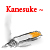 :iconkanesuke: