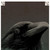 :iconkaniex: