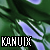 :iconkanuix:
