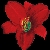 :iconkao-xanos: