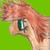 :iconkaora-kasuga: