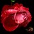 :iconkaosgraphy: