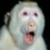 :iconkaoxsk8: