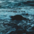 :iconkapitan-niemand: