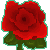 :iconkara-rose: