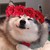 KaraDraco :iconkaradraco: