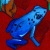 :iconKaramoko: