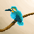 :iconkaraokegirl: