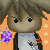 :iconkarasu-000: