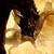 :iconkarasu007: