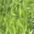 :iconkarb-notacji: