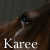 :iconkaree123543: