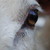 :iconkareid14: