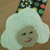:iconkarekilit: