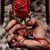 :iconkari--charna: