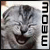 :iconkari-of-suna: