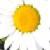 :iconkariann5: