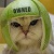 :iconkariasrock: