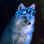 KarinaBlueFoxv :iconkarinabluefoxv: