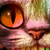 :iconkarinoba: