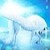 :iconkarinpegasi: