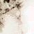 :iconkarite: