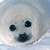 KARKAT-FUCKIN-VANTAS :iconKARKAT-FUCKIN-VANTAS: