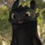 :iconkarkat-the-owl: